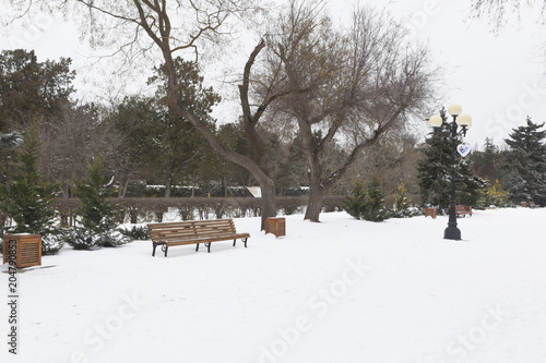 Winter landscape in Shakaevsky garden of Evpatoria, Crimea © muhor