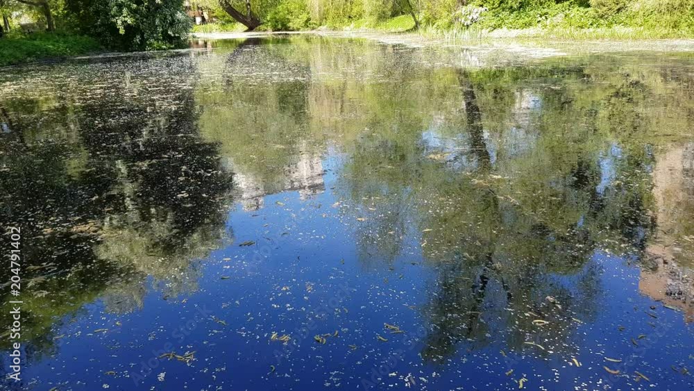 Abandoned wild pond with mud in the middle of the city park
Abandoned wild pond with mud in the middle of the city park