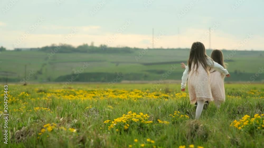 Two little girls running through the green meadow. The concept of a happy childhood Two little girls running through the green meadow. The concept of a happy childhood
