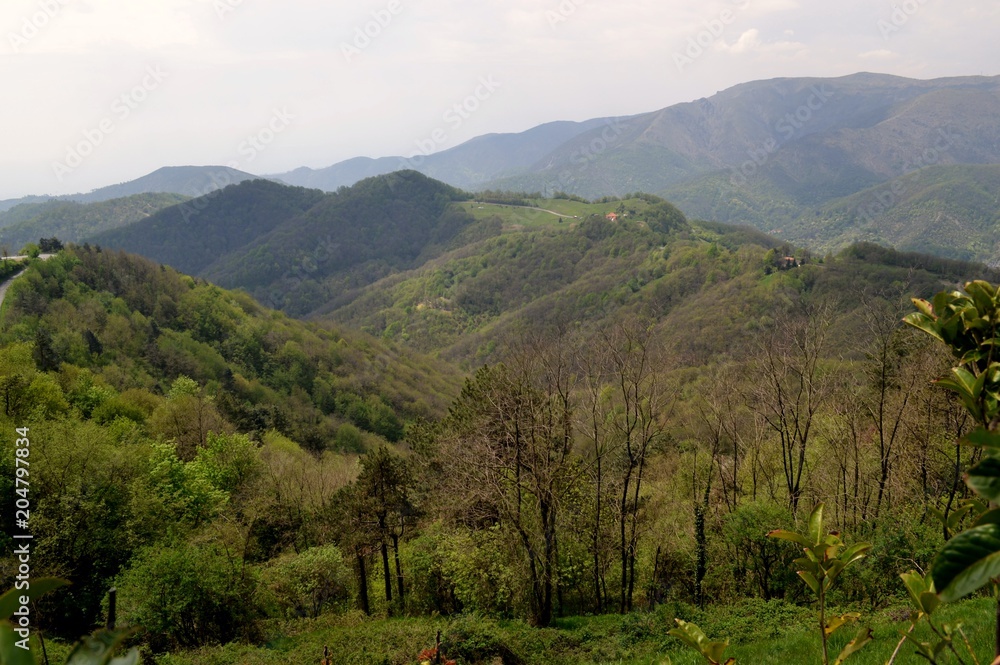 Fototapeta premium Noli an der ligurischen Riviera (Italien)