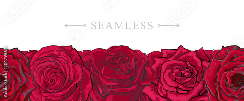 Red roses border seamless pattern with romantic hand drawn flower blooms isolated on white background. Beautiful floral vector illustration with rose blossom in sketch style.