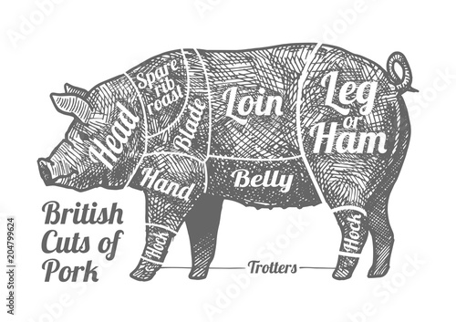 Cuts of pork