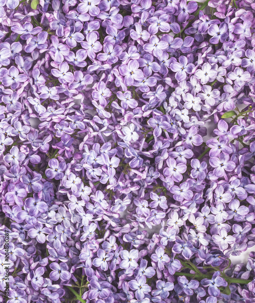 Lilac flowers background. Flat lay. Top view. Lilac flowers background. Flat lay. Top view.