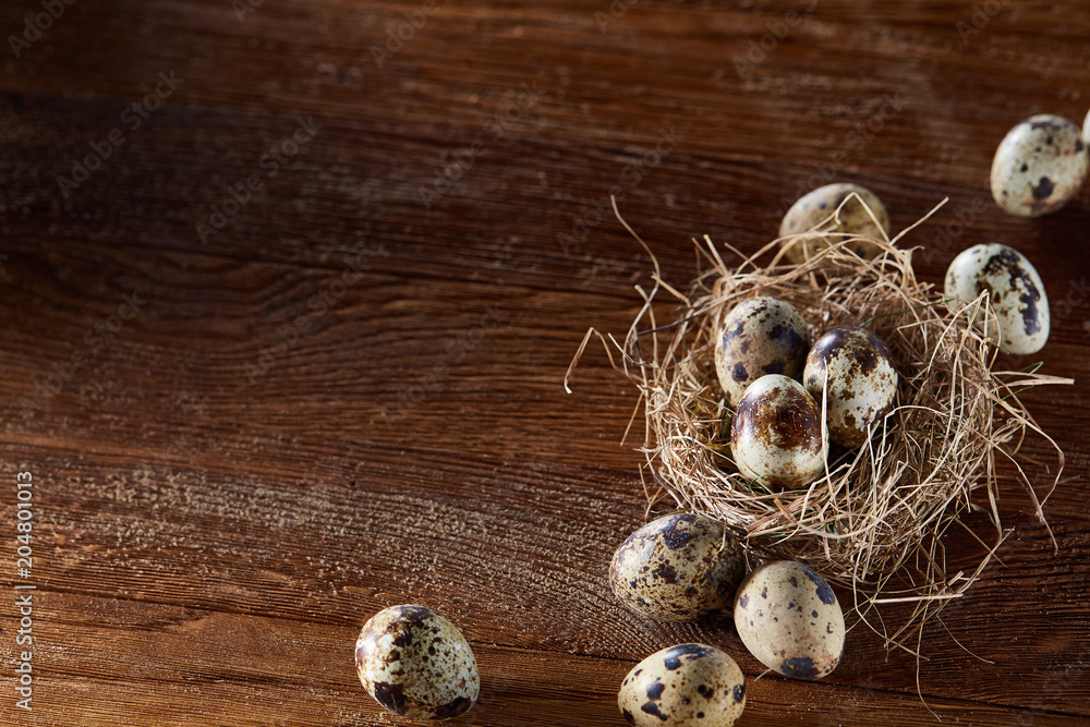 Conceptual still-life with quail eggs in hay nest over dark wooden background, close up, selective focus Conceptual still-life with quail eggs in hay nest over dark wooden background, close up, selective focus