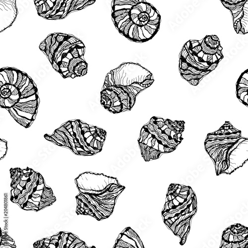 Vector seamless pattern from black seashell on white background. Hand drawn illustration of sketches mollusk sea shells.