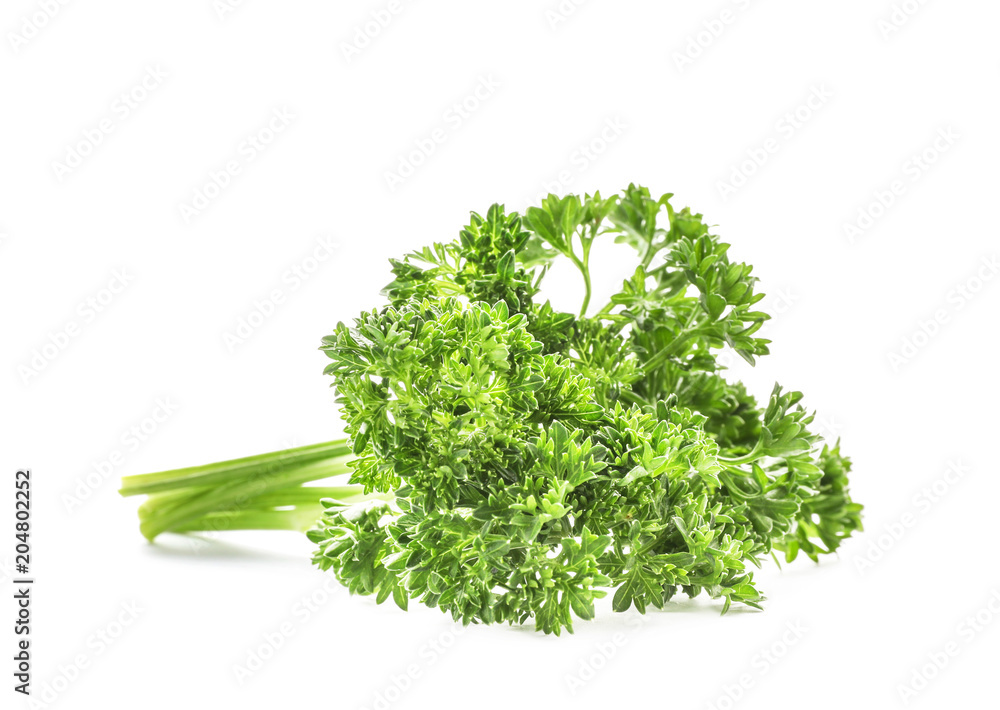 Fresh green parsley on white background Fresh green parsley on white background