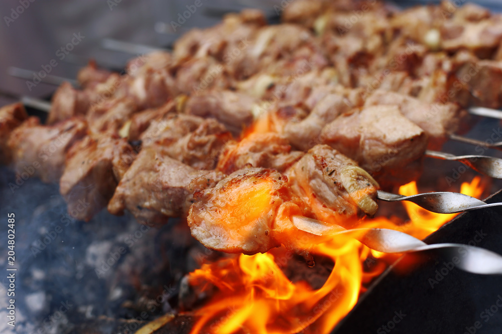 Barbecue in nature in summer. Pork meat in the smoke on the coals, healthy food, closeup. Barbecue in nature in summer. Pork meat in the smoke on the coals, healthy food, closeup.