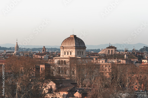 View of Rome roofs: jewish synagogue, Spire of Saint Ivo alla Sapienza, Towerbell of Saint Augustine Church. photo