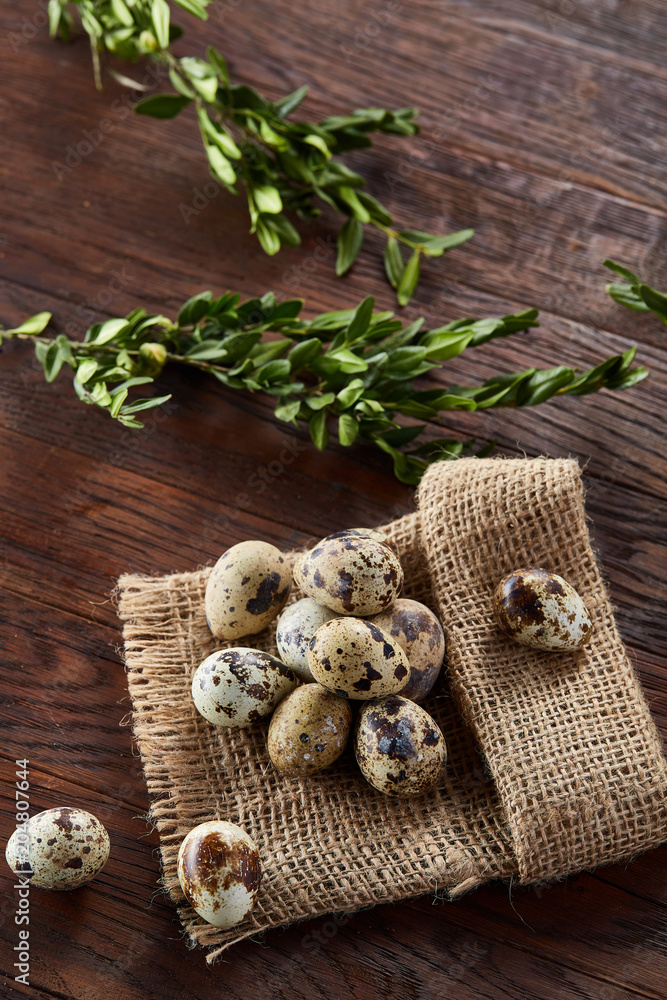 Quail eggs arranged in pyramid on a napkin with boxwood branches over a wooden table, close-up, selective focus. Quail eggs arranged in pyramid on a napkin with boxwood branches over a wooden table, close-up, selective focus.