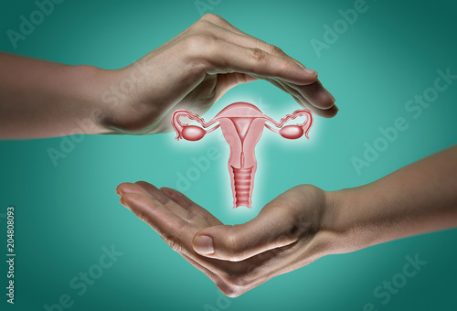 Quadro su tela A model of the reproductive system of women between two palms on blue and green background