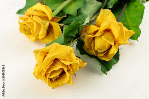 Bouquet of beautiful dried yellow roses isolate on white background  dried rose flower head. Flowers composition.