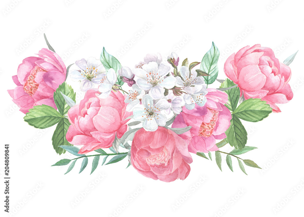 Peonies blooming and leaves isolated on white background. Hand drawn watercolor posy of pink peony buds and white cherry blossom for your design.