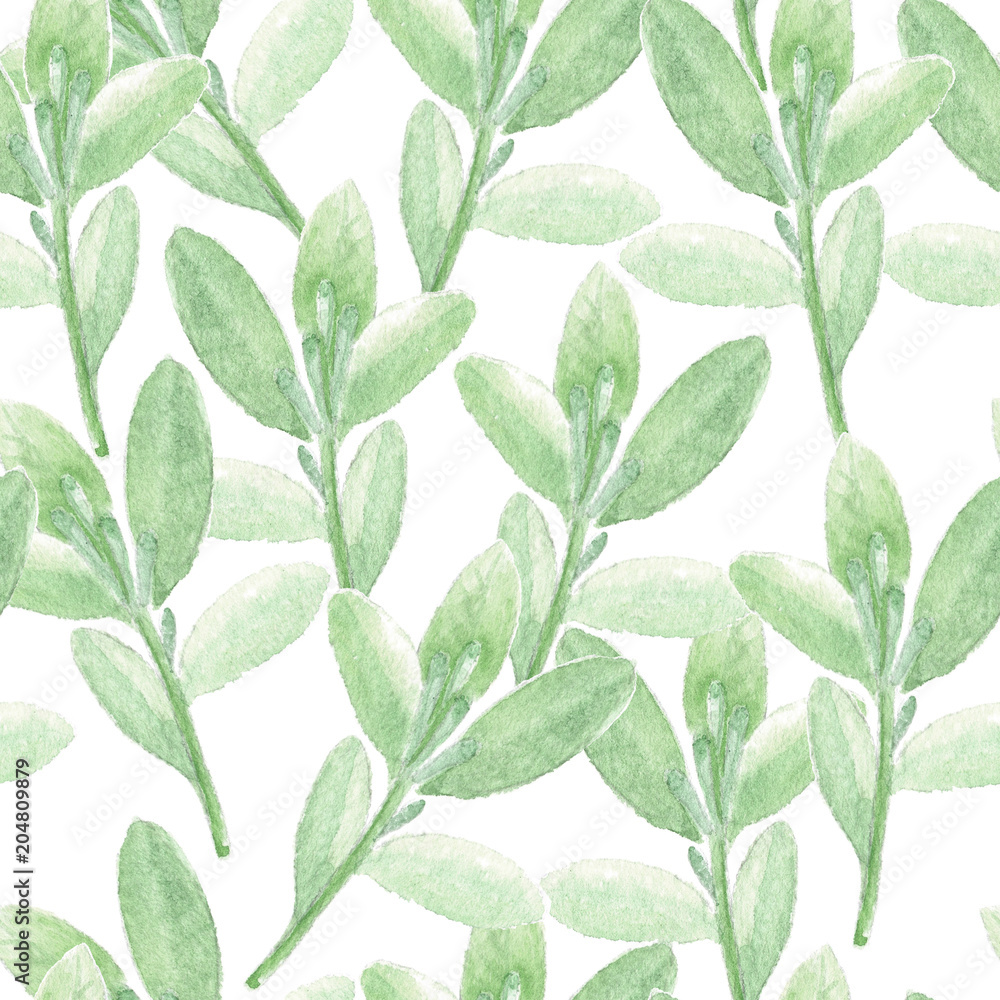 Green branches watercolor seamless pattern. Hand painted green twig on white background.