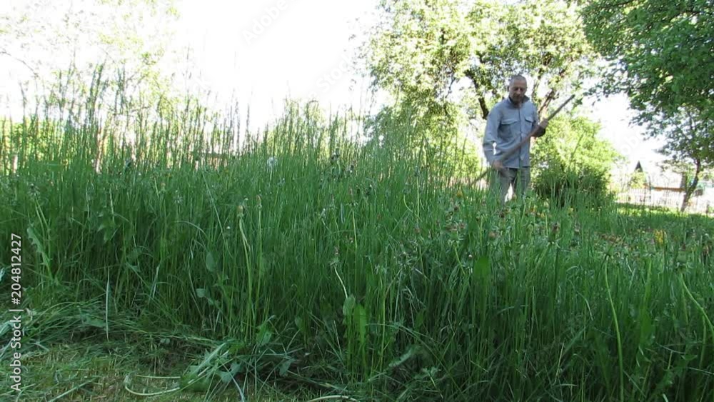 a man mowing the grass the traditional hand scythe a man mowing the grass the traditional hand scythe