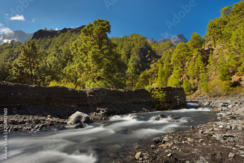 Forest with a mountain river in caldera of Taburiente  island of La Palma  Canary Islands