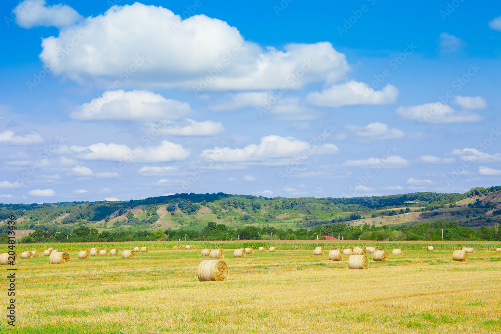 countryside view of hay bales in nature.