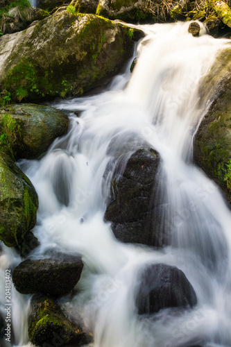 Germany, Moss covered green shining stones in triberg waterfalls park in black forest