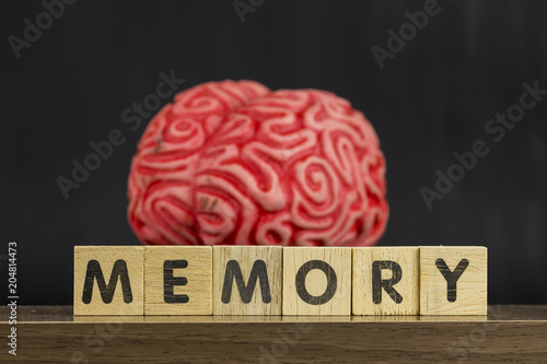 Memory and Brain photo