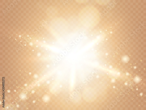 Abstract light effect isolated on soft warm transparent background. Rays of light with luminous dots. Glittering elements of dust with bokeh. Vector 3d illustration.