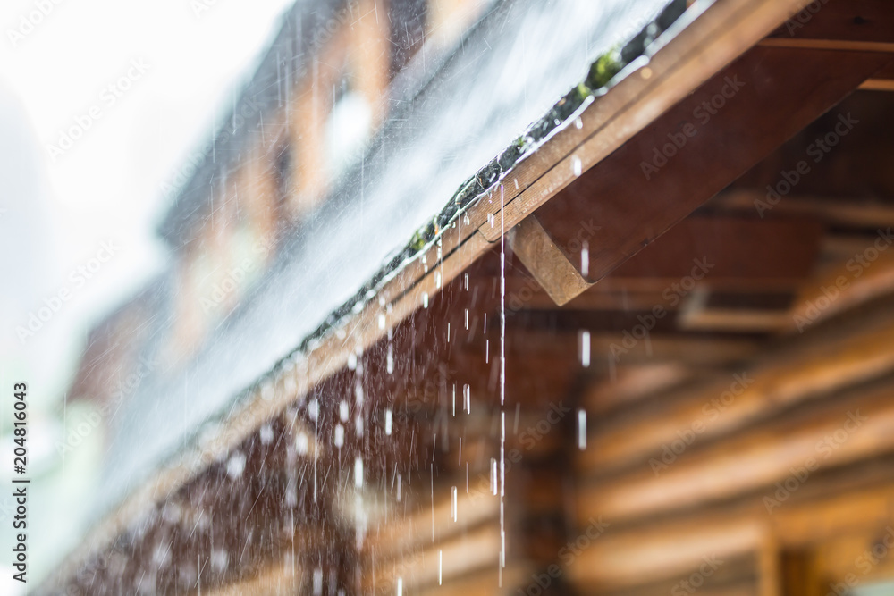 Fototapeta premium Downpour in the summer storm and rain drops on the roof