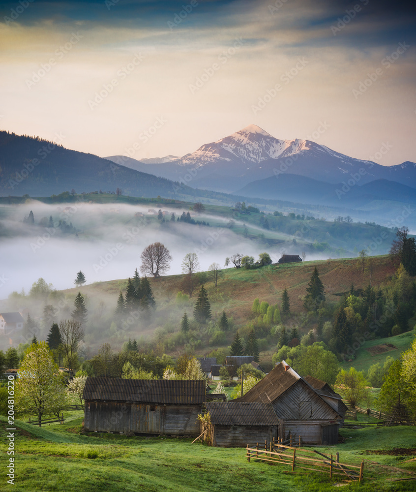 Early misty morning in a spring village