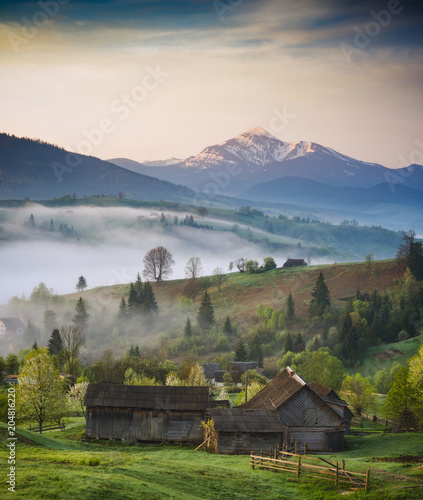 Early misty morning in a spring village