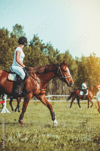 A woman jockey participates in competitions in equestrian sport, jumping.
