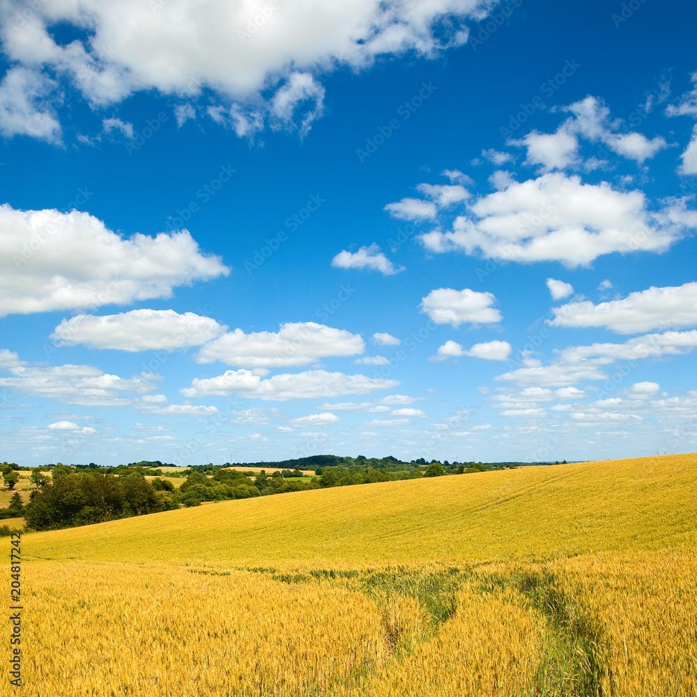 Campagne sous le soleil de France Campagne sous le soleil de France