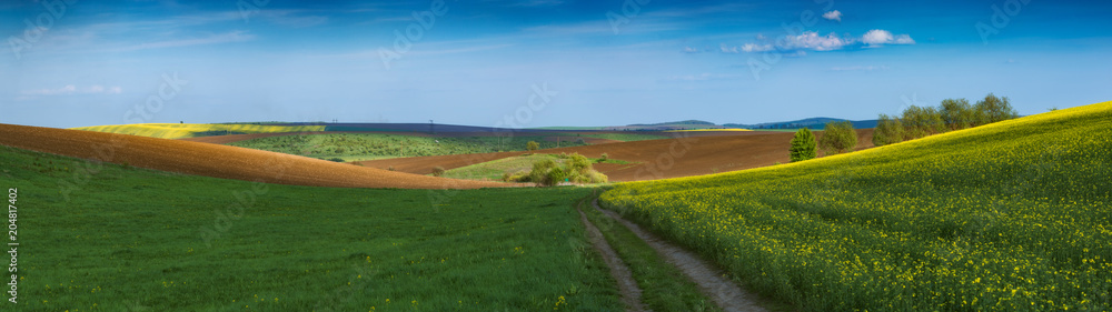 Road in a valley of agricultural fields