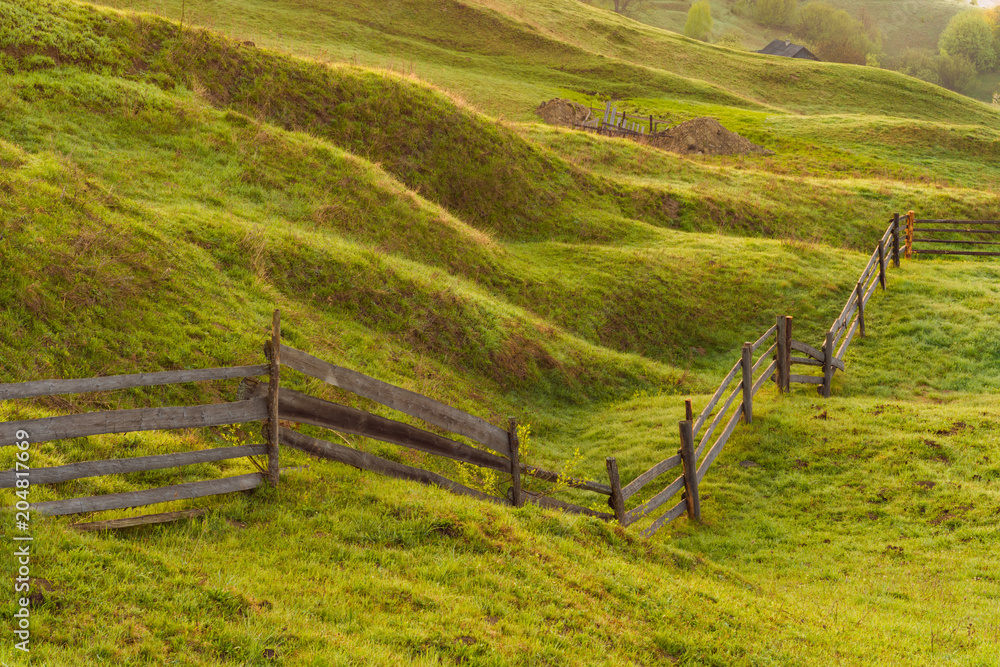 Wooden fence on a green meadow