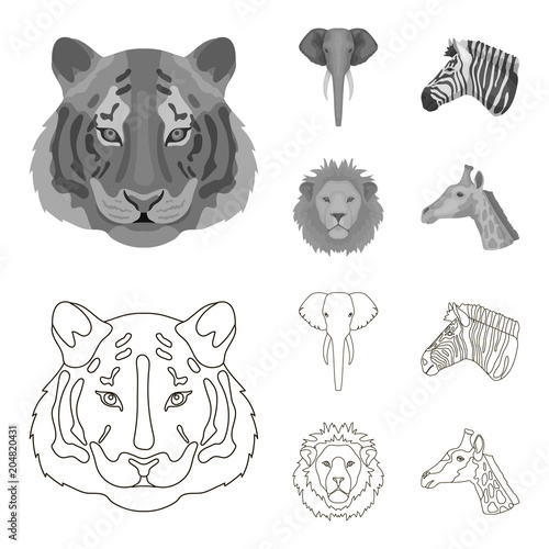 Tiger, lion, elephant, zebra, Realistic animals set collection icons in outline,monochrome style vector symbol stock illustration web.