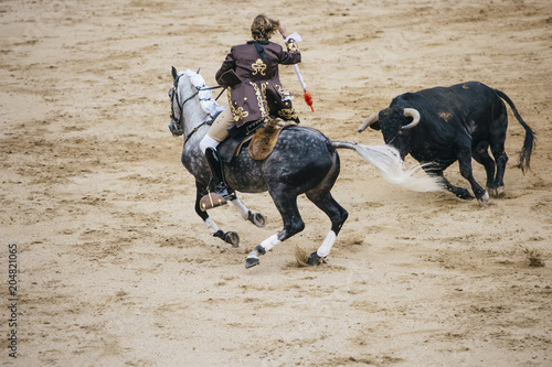 Fototapeta Naklejka Na Ścianę i Meble -  Corrida. Matador and horse Fighting in a typical Spanish Bullfight