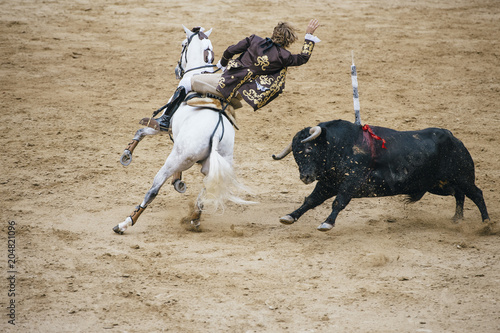 Corrida. Matador i koń walczą w typowej hiszpańskiej walce byków