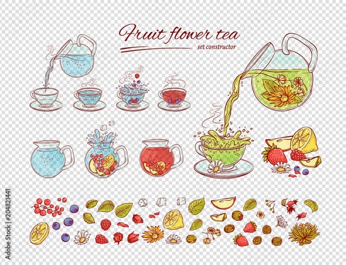 Vector tea constructor flowers fruits brew process. Make and pour in transparent cup hot or cold aromatic drink with blossoming tea berries leaves. Sketch set collection hand drawn illustration
