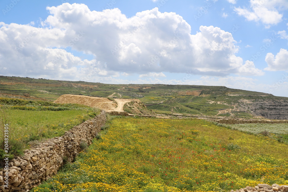 Farming at Gozo Island of Malta at Mediterranean 