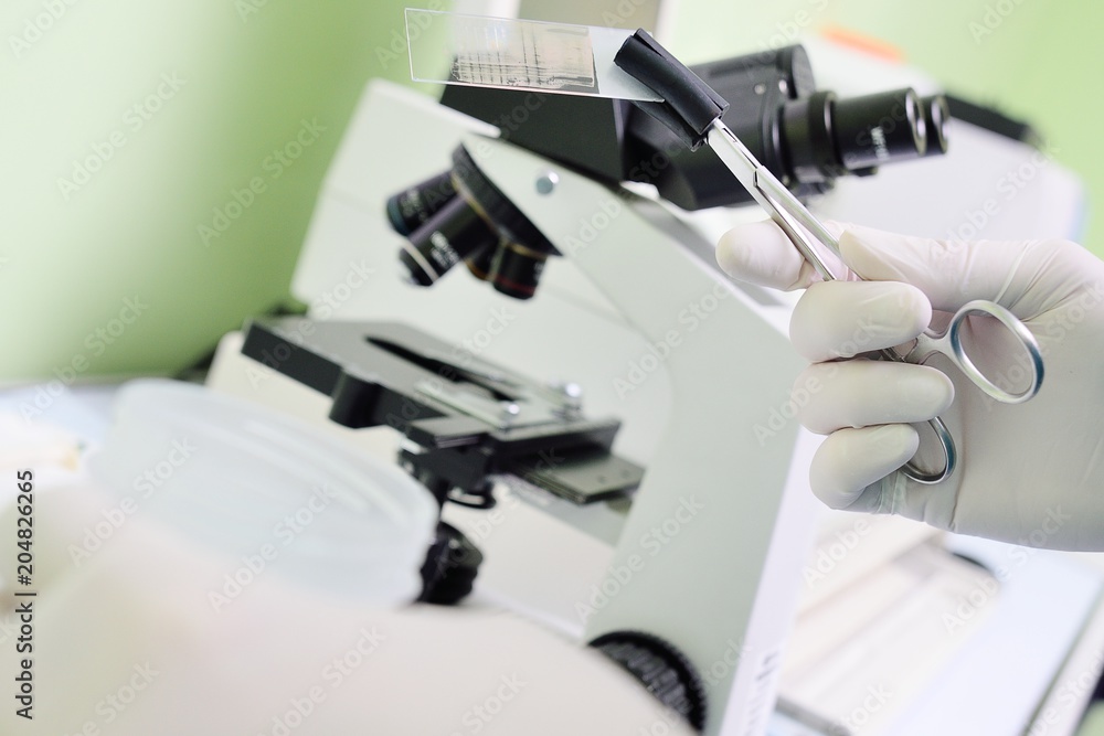 the doctor makes a detailed analysis of the blood on the background of the clinic and medical equipment the doctor makes a detailed analysis of the blood on the background of the clinic and medical equipment