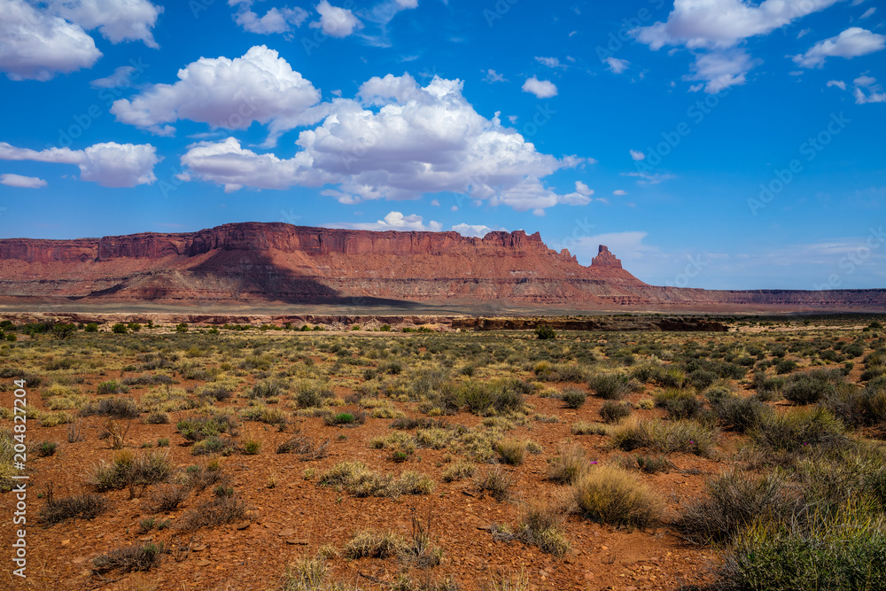 Fototapeta premium I captured this image on the road to The Maze Overlook from the Golden Stairs area in the Canyonlands National Park in Utah.
