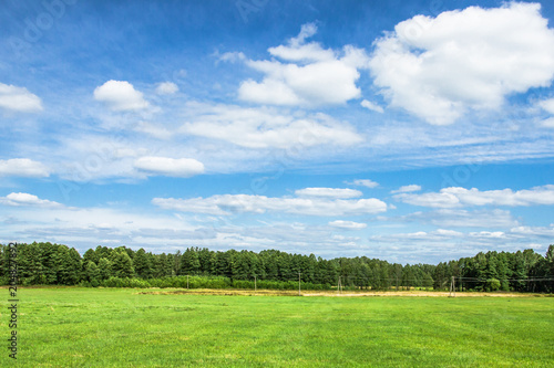 Sunny summer landscape. Blue sky  green field and forest background.