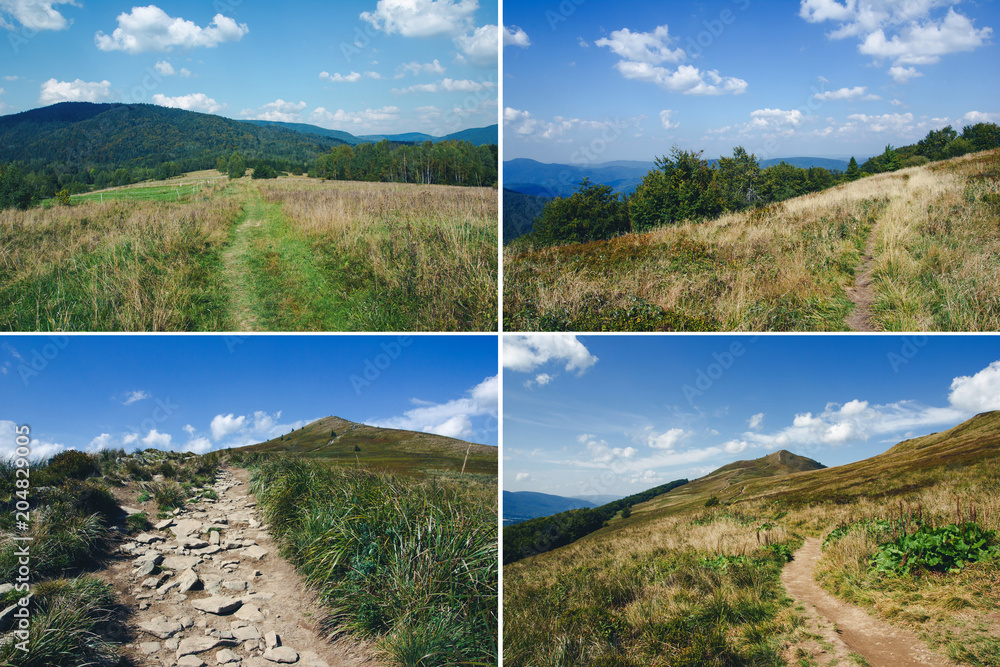 Obraz premium Bieszczady National Park in Poland, Europe. Set of four sunny landscapes. 