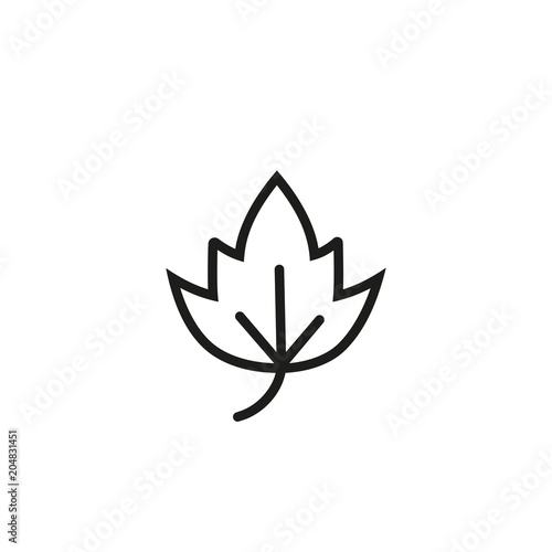 Birch leaf. Flat thin line illustration