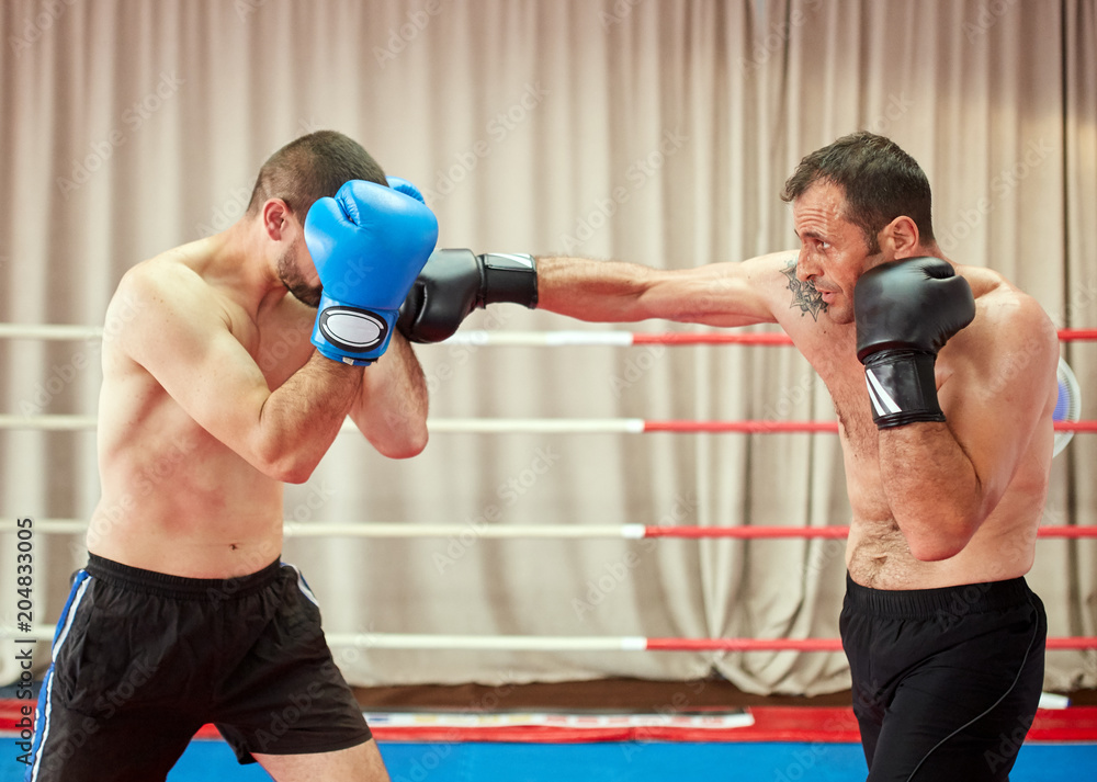 Kickboxers sparring in the ring Kickboxers sparring in the ring