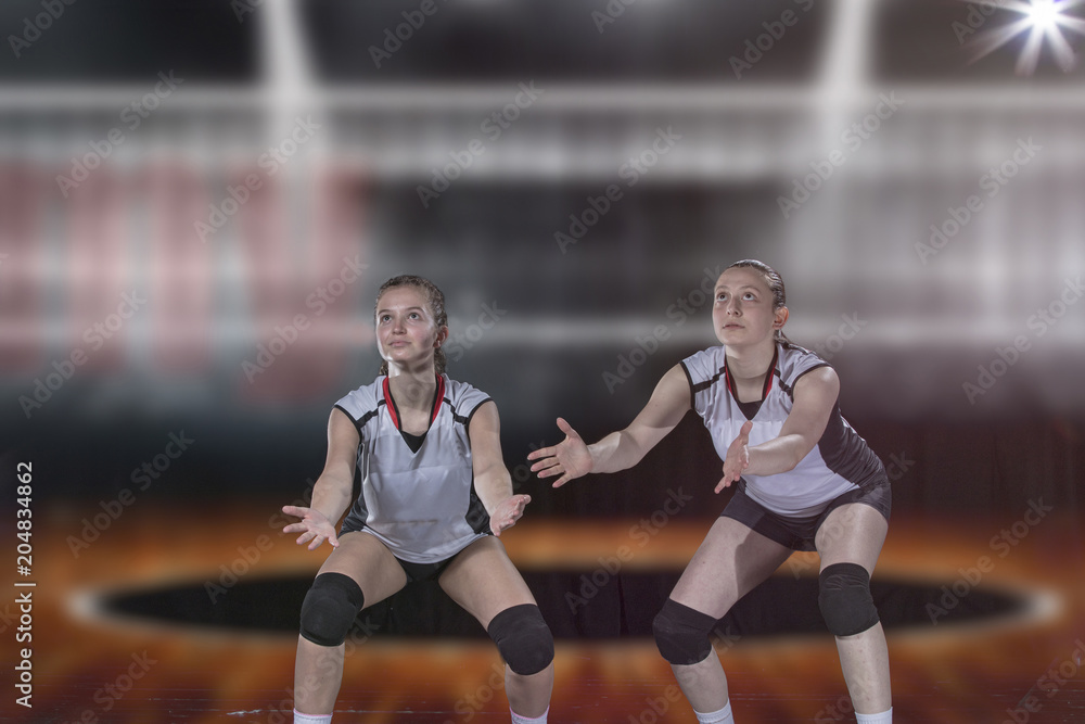 Female professional volleyball player on volleyball court