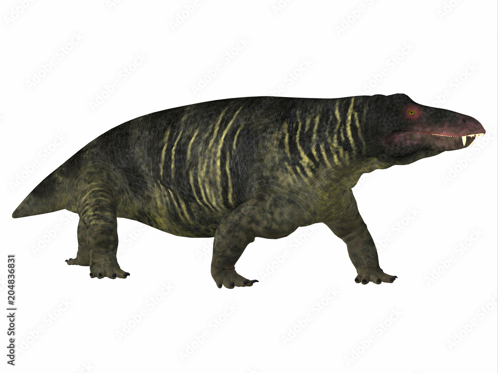 Naklejka premium Jonkeria Dinosaur Side Profile - Jonkeria truculenta was an omnivorous therapsid dinosaur that lived in South Africa during the Permian Period.