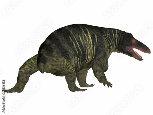 Jonkeria Dinosaur Tail - Jonkeria truculenta was an omnivorous therapsid dinosaur that lived in South Africa during the Permian Period. © Catmando