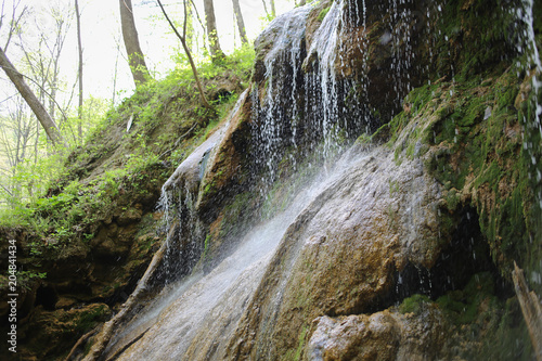 Falls Ridge Preserve The Nature Conservancy Appalachia