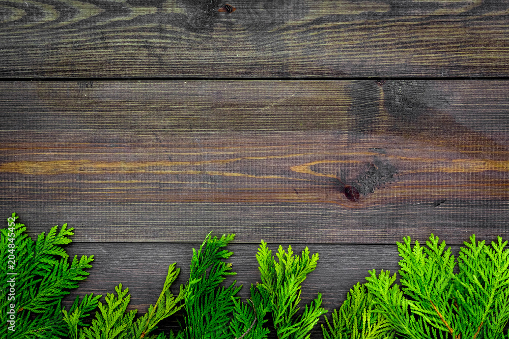 Juniper frame. Juniper branches on dark wooden background top view copy space Juniper frame. Juniper branches on dark wooden background top view copy space