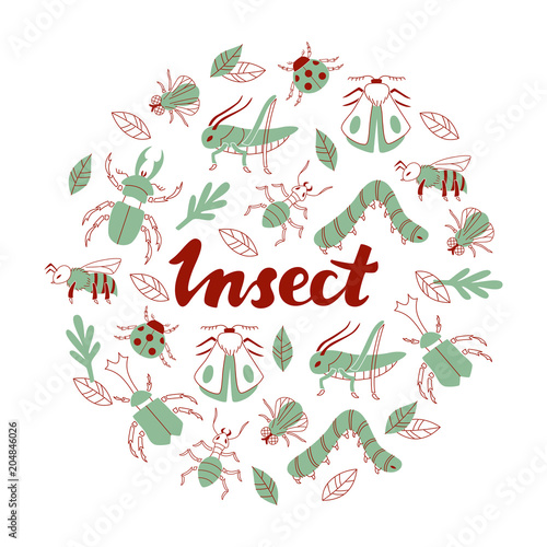 Set of Hand Drawn Insect Isolated on White Background. Vector Illustration.