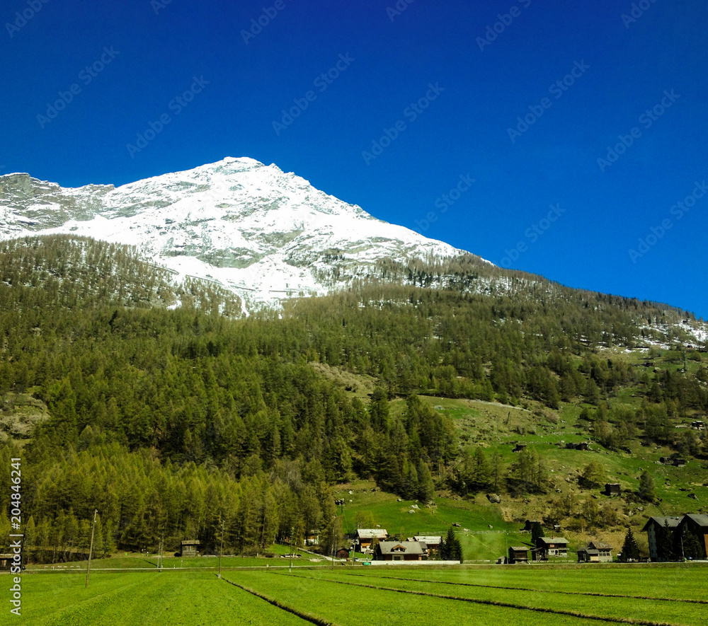 country side view - many houses on green grass at the foot of the hill on mountain background