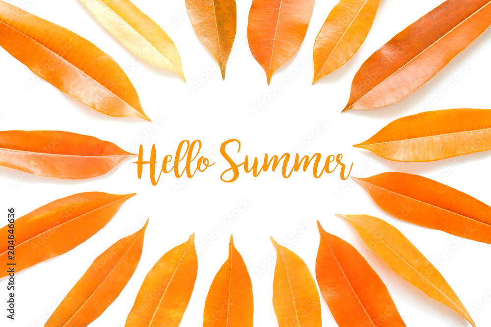 Hello summer concept on white background Hello summer concept on white background