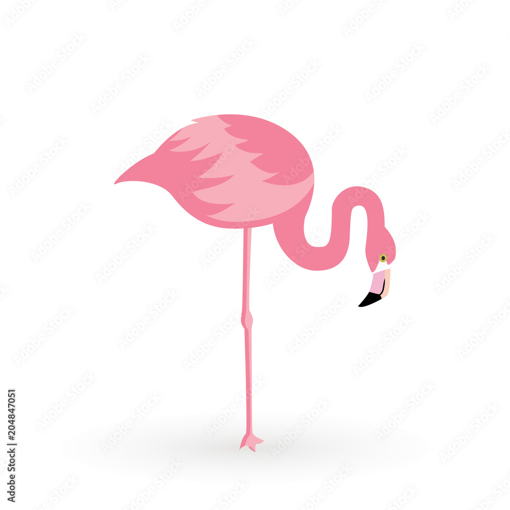 Obraz premium Pink flamingo . Vector illustration .Isolated on white background. Bird illustration design on background.